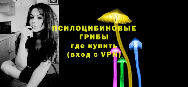 прущие грибы Красноперекопск