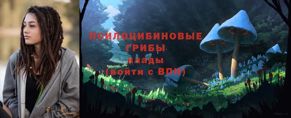 прущие грибы Красноперекопск
